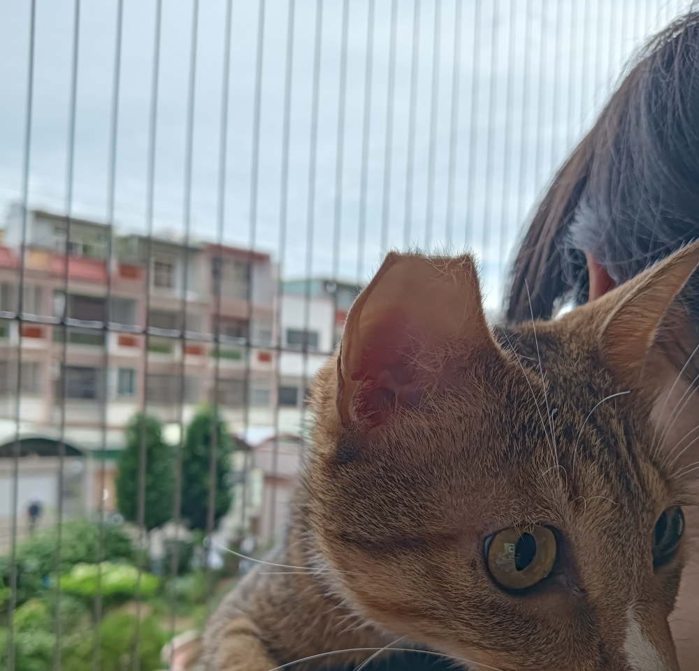 91BAB498-40DA-41D1-85BE-C9C3236B5EBF