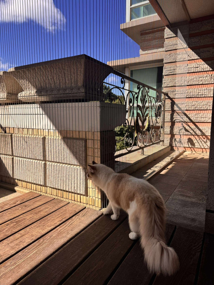 LINE_ALBUM_可用素材_260125_3