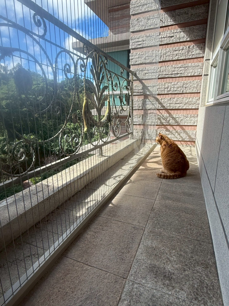 LINE_ALBUM_可用素材_260125_4