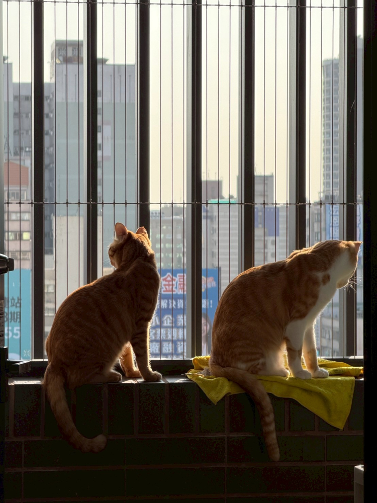 LINE_ALBUM_可用素材_260309_2