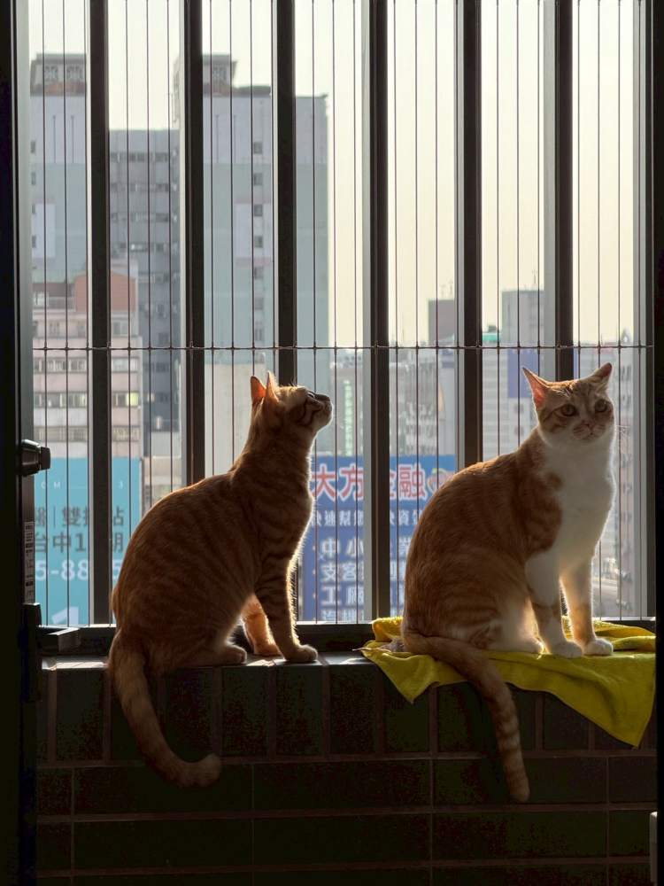 LINE_ALBUM_可用素材_260309_3