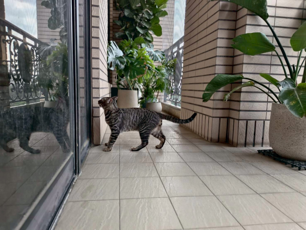 LINE_ALBUM_素材相簿_260525_2
