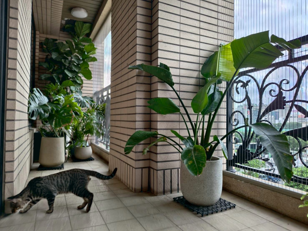 LINE_ALBUM_素材相簿_260525_3