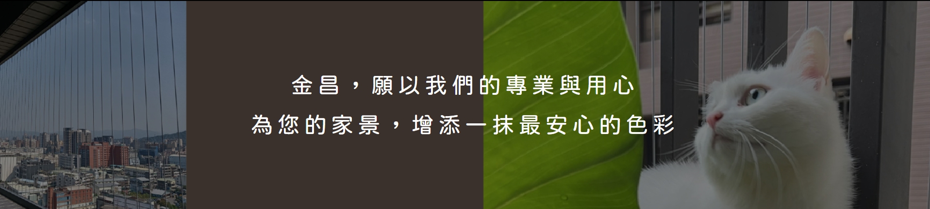 隱形鐵窗找金昌