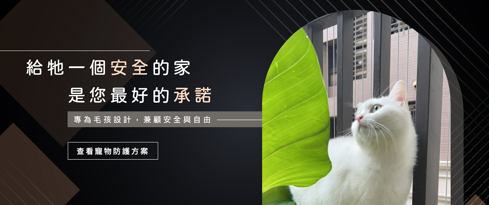 寵物防護網貓咪防墜