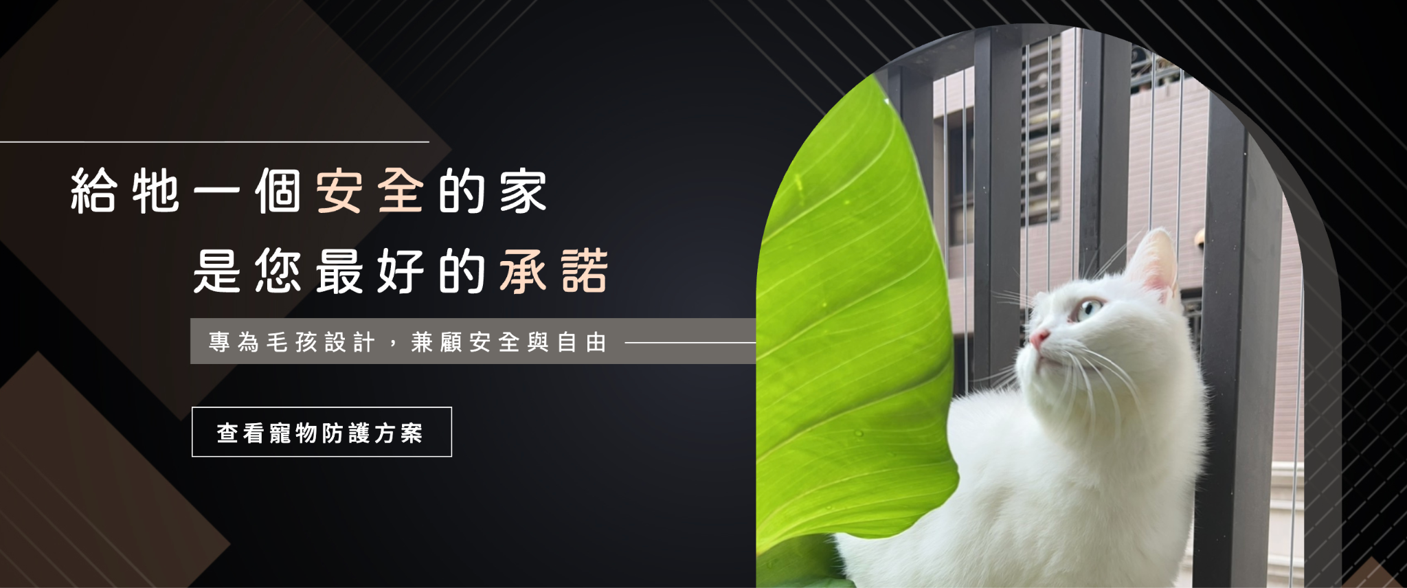 貓防護網推薦找金昌