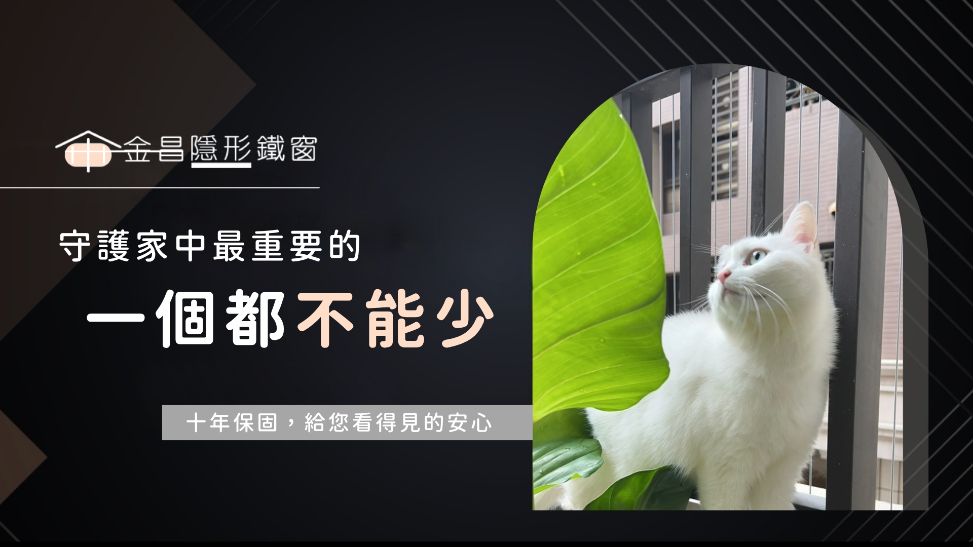 鴿害問題找金昌